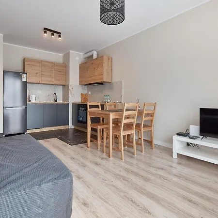 Apartment Airport Homely Poznan